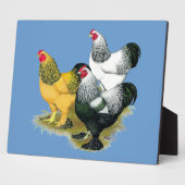 ブラーマススリーロスター フォトプラーク (側面)