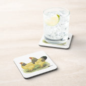 ブラーマバフペア コースター (右側)