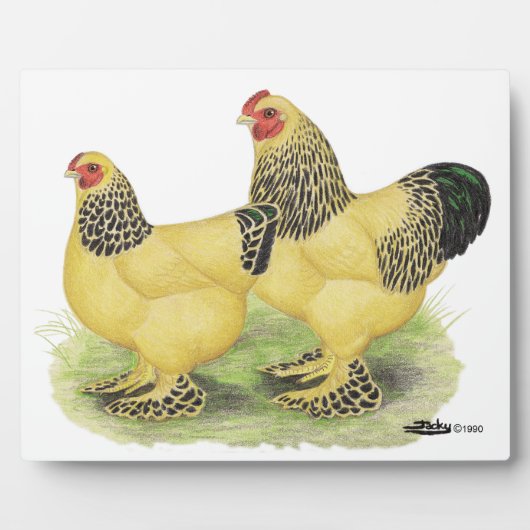 ブラーマバフペア フォトプラーク (正面)