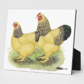 ブラーマバフペア フォトプラーク (側面)