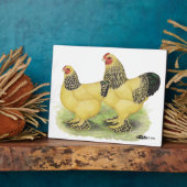 ブラーマバフペア フォトプラーク (側面)