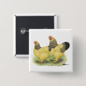 ブラーマバフペア 缶バッジ (正面&裏面)