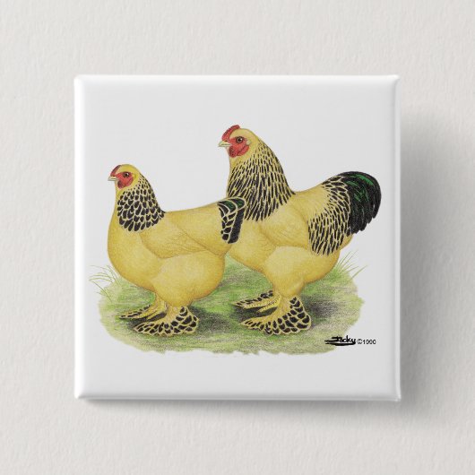 ブラーマバフペア 缶バッジ (正面)