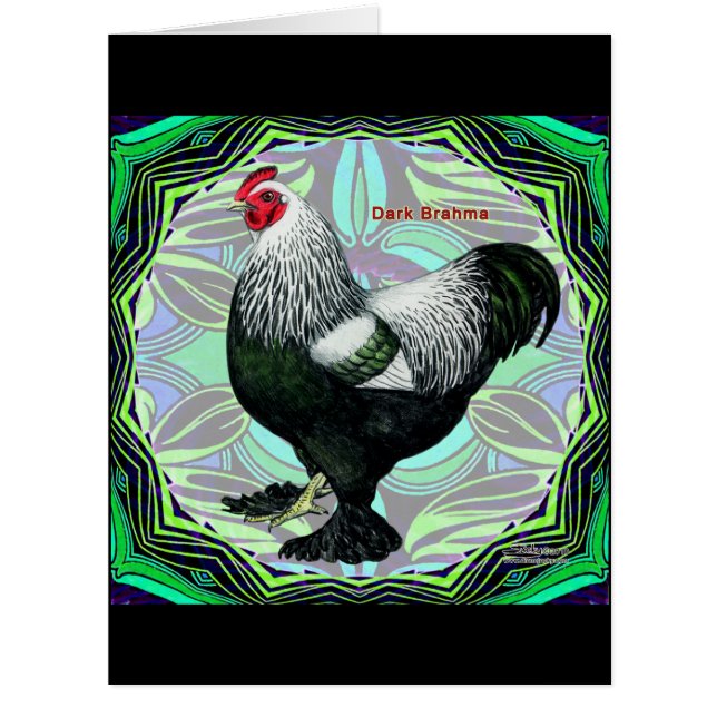 ブラーマファンシーー：ダーク・ルースター (正面)