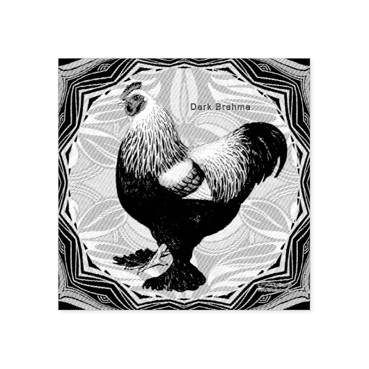 ブラーマファンシーー:ダーク・ルースター ラバースタンプ (インプリント)