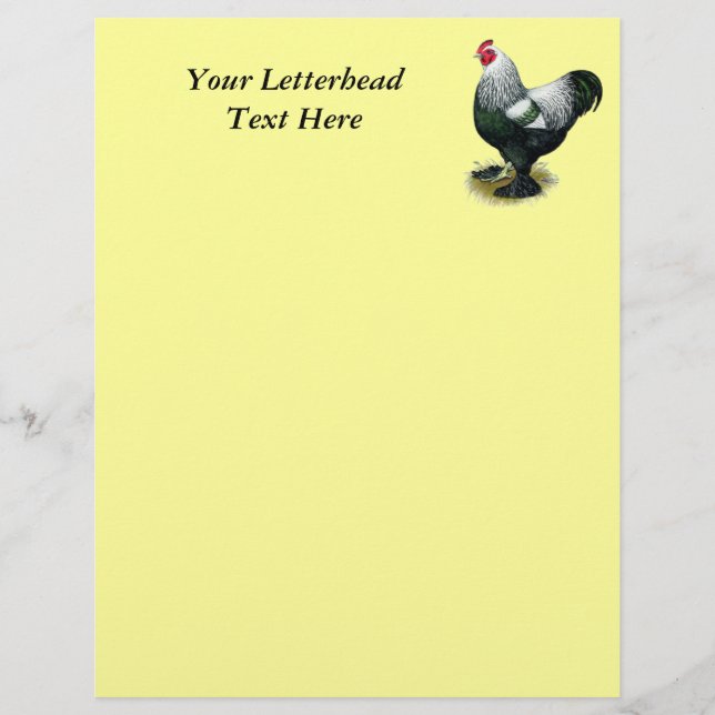 ブラーマ：ダークルースター (正面)