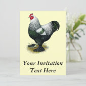 ブラーマ：ダークルースター 招待状 (スタンド正面)