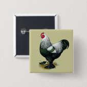 ブラーマ：ダークルースター 缶バッジ (正面&裏面)