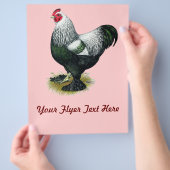 ブラーマ：ダーク ロスター チラシ (手)