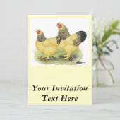 ブラーマ バフ ペア 招待状 (スタンド正面)