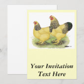 ブラーマ バフ ペア 招待状 (正面/裏面)