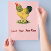 ブラーマ：バフ・ルースター チラシ (手)