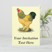 ブラーマ:バフ・ルースター 招待状 (スタンド正面)