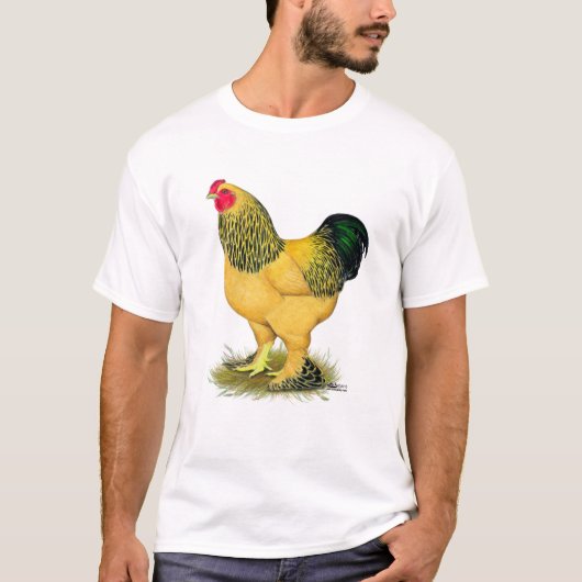 ブラーマ:バフ・ルースター Tシャツ (正面)