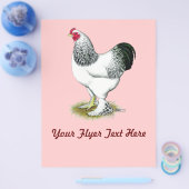 ブラーマ：軽鶏 チラシ (シングル)