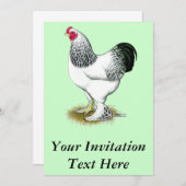 ブラーマ：軽鶏 招待状 (正面/裏面)