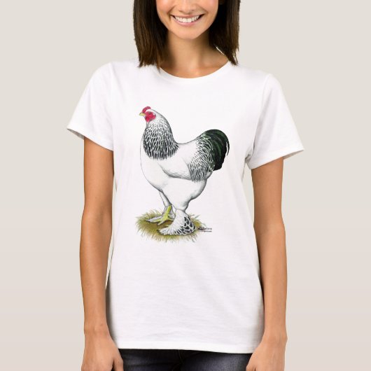 ブラーマ:軽鶏 Tシャツ (正面)