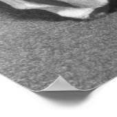 ブラームリーのビーナスとして知られる女性の頭 ポスター (角)