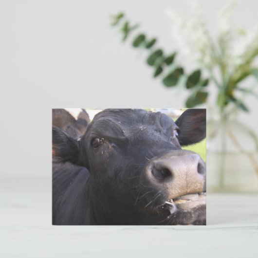 ブラー ポストカード (スタンド正面)