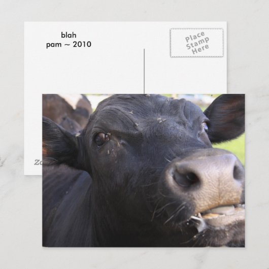 ブラー ポストカード (正面/裏面)