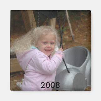 ブリアンナ揺動磁石 マグネット