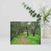 ブリオネスオークス ポストカード (スタンド正面)