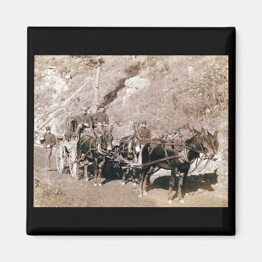 ブリオンステージコーチヴィンテージ マグネット (正面)