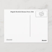 ブリガダムラリスタラモーナパラチリ ポストカード (裏面)