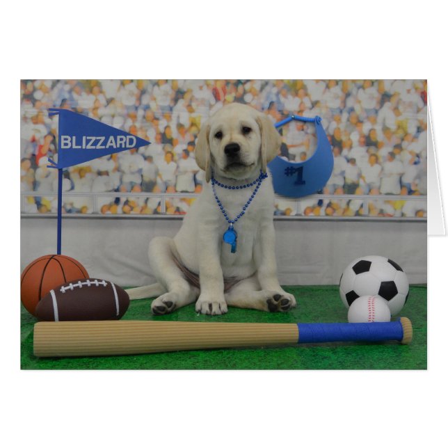 ブリザードのトレーディングカード (正面横)