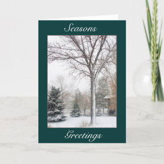 ブリザードの平静 シーズンカード