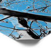 ブリザードスクイレルB+W ポスター (角)