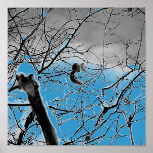 ブリザードスクイレルB+W ポスター (正面)