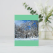 ブリザードツリーズ油 ポストカード (スタンド正面)