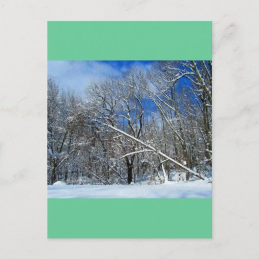 ブリザードツリーズ油 ポストカード (正面)