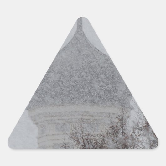 ブリザードロシアの 三角形シール (正面)