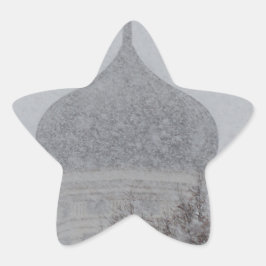 ブリザードロシアの 星シール