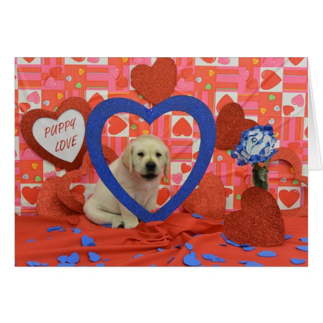 ブリザード週6の写真 (正面横)