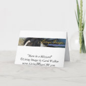 ブリザード馬のグリーティングカードに乗ったマーレ カード (裏面)