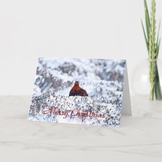 ブリザード・メリー・クリスマスカードでグロース シーズンカード (正面)
