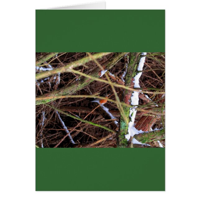 ブリザードCB (正面)