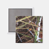 ブリザードCB マグネット (正面/裏面)