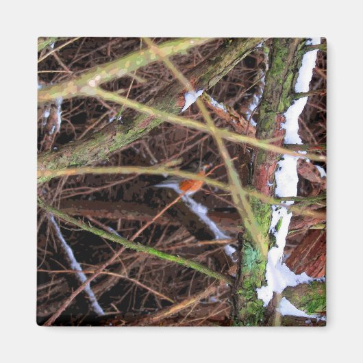 ブリザードCB マグネット (正面)