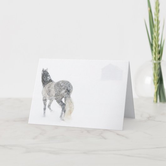 ブリザードIIの馬の挨拶状のロバ カード (正面)