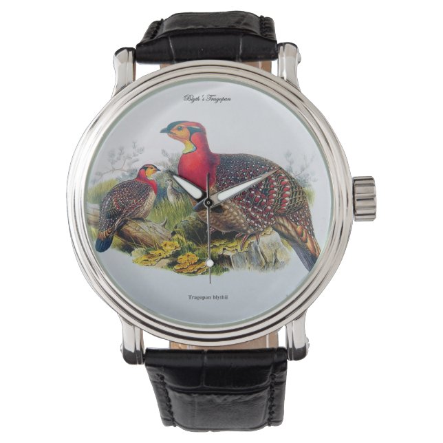 ブリスのトラゴパン別名ホルニー・フェアサン – J.Gould 1883 腕時計 (正面)