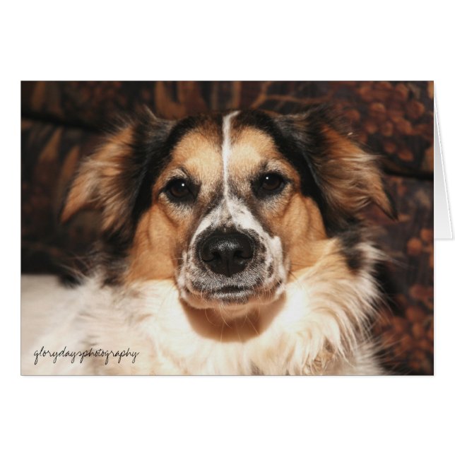 ブリストルのglorydaysphotography (正面横)