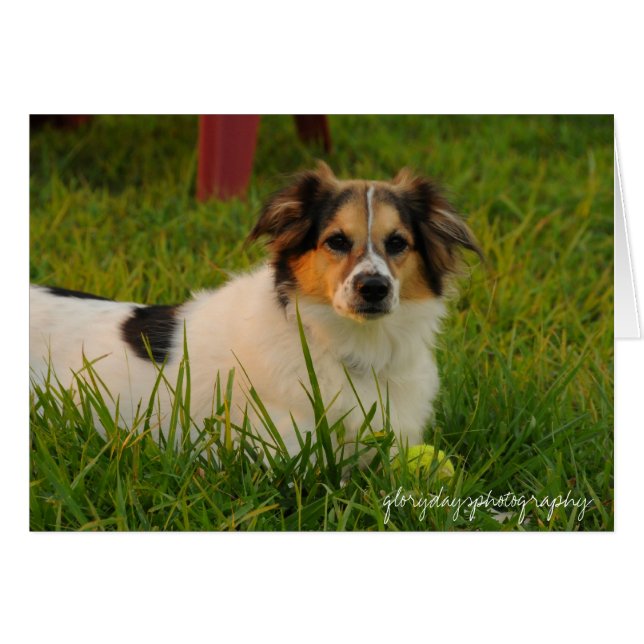 ブリストル (正面横)