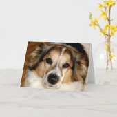 ブリストル カード (黄色い花)