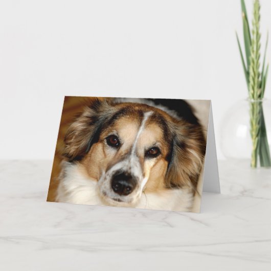 ブリストル カード (正面)