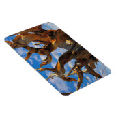 ブリストレコンパイン マグネット (右側)