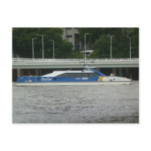 ブリスベンシティキャット